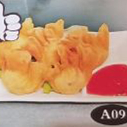 DI A09 Crispy Wonton 炸云吞